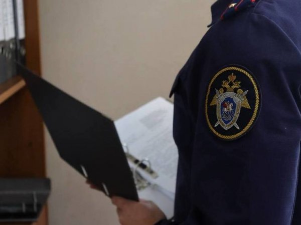 Нижегородского полицейского осудили за применение к задержанному электрошокера