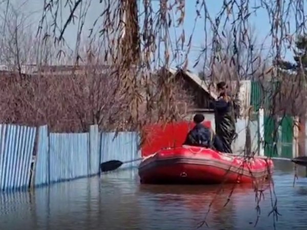 «Относят мебель на второй этаж»: Курганская и Тюменская области ждут наводнения