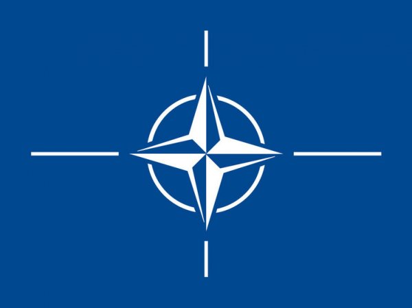 В НАТО решили построить сотни бункеров для защиты от «нападения» России