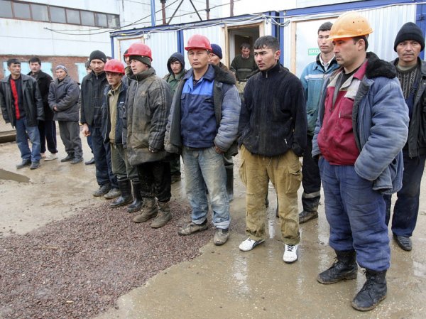 Трудовая миграция: какое будущее ждет рынок занятости в России