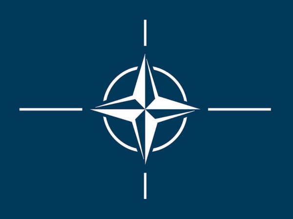 Аргентина подала заявку на сотрудничество с НАТО