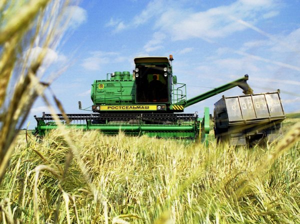 У стран БРИКС появится своя зерновая биржа
