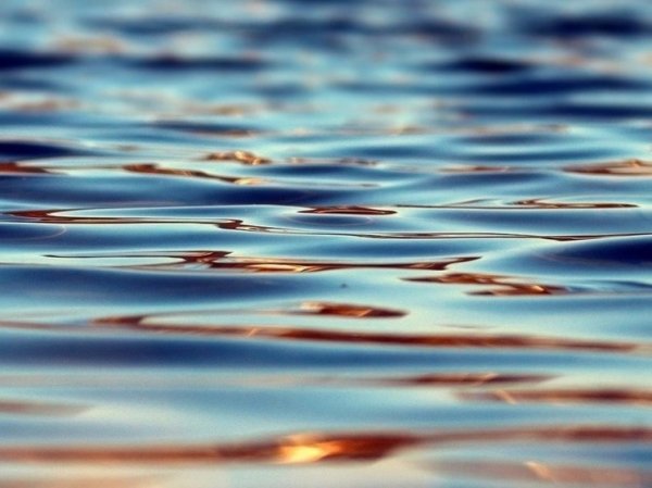 Власти Новокузнецка сообщили об опасном уровне воды в реке Томь