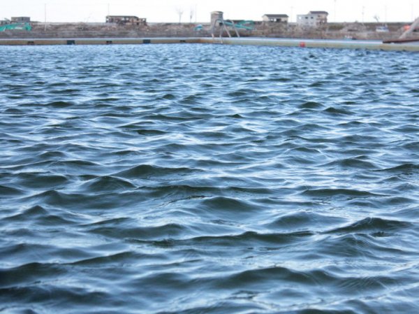 Уровень воды в Тоболе в Кургане снизился за сутки на 21 см